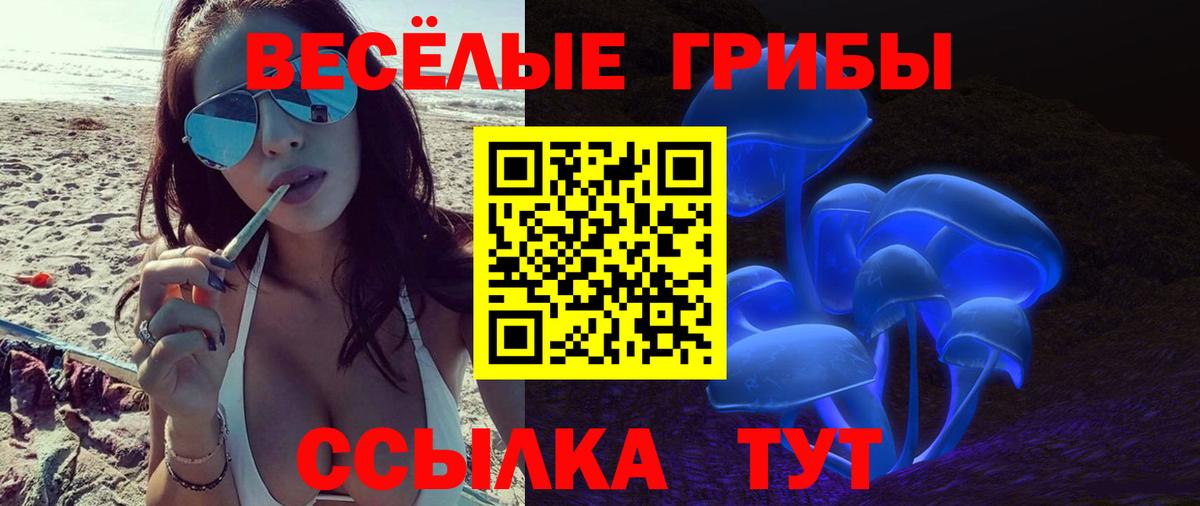 где можно купить   Галлюциногенные грибы ЛСД  Вход с VPN  Псилоцибиновые грибы мухоморы  Обнинск 
